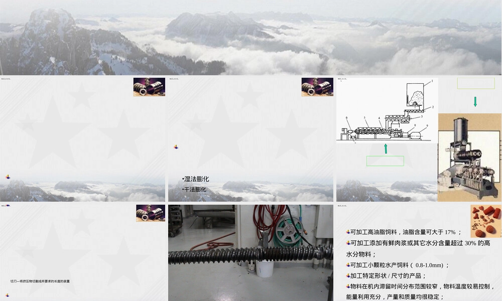 膨化饲料加工工艺及配方管理PPT课件 副本2.ppt