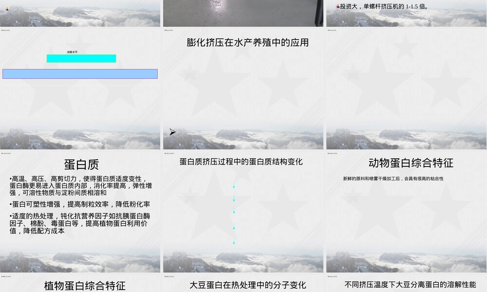 膨化饲料加工工艺及配方管理PPT课件 副本2.ppt