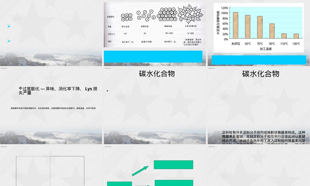 膨化饲料加工工艺及配方管理PPT课件 副本2.ppt