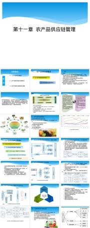 农产品供应链管理PPT课件.pptx