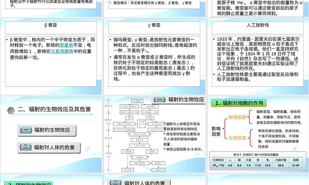 物理性污染控制放射性污染及其控制PPT课件.ppt