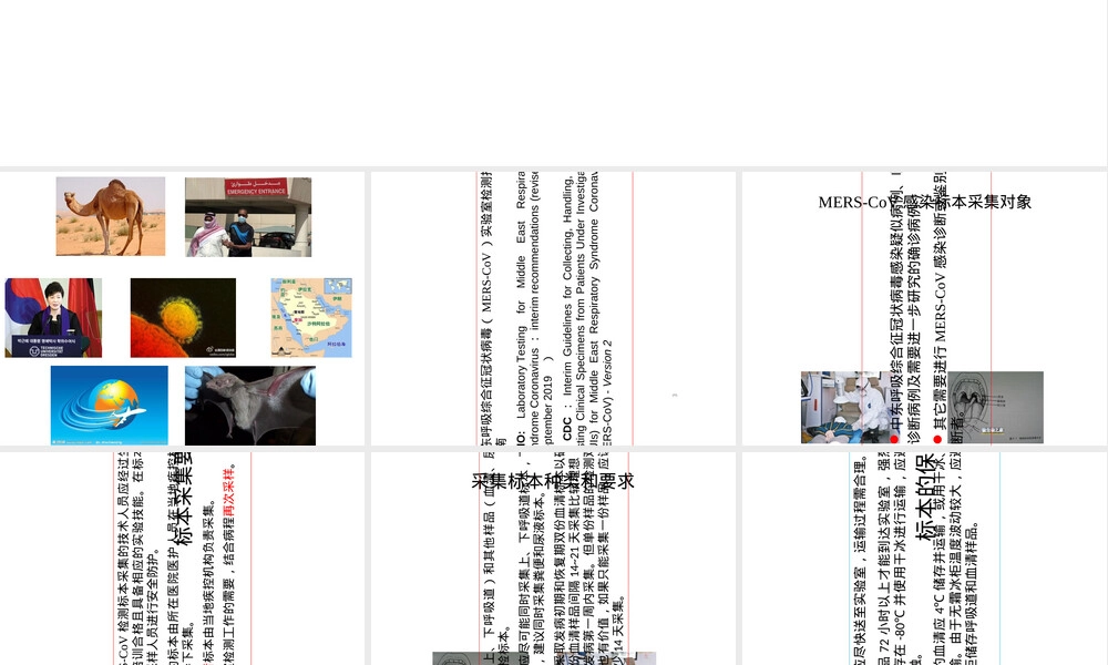 中东呼吸综合征冠状病毒实验室检测PPT课件.ppt
