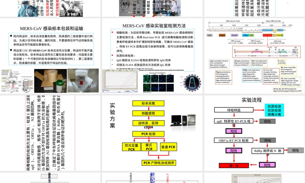 中东呼吸综合征冠状病毒实验室检测PPT课件.ppt