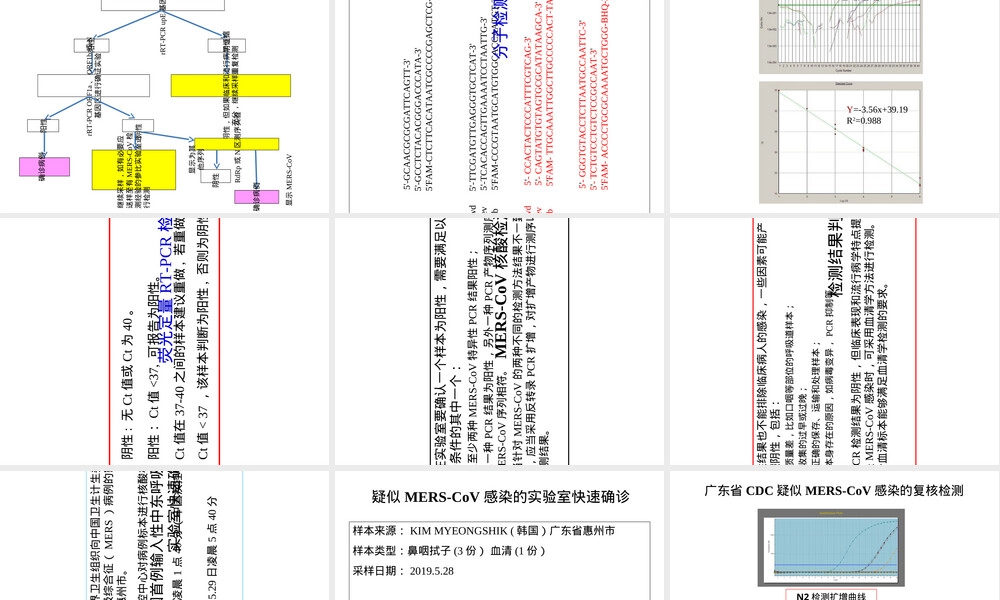 中东呼吸综合征冠状病毒实验室检测PPT课件.ppt