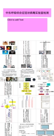 中东呼吸综合征冠状病毒实验室检测PPT课件.ppt