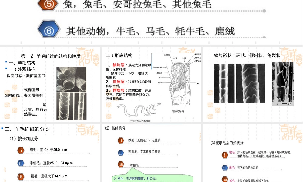 羊毛纤维及其初加工教学PPT课件.ppt