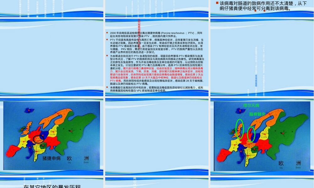 猪捷申病毒危害与国内流行现状PPT课件.ppt
