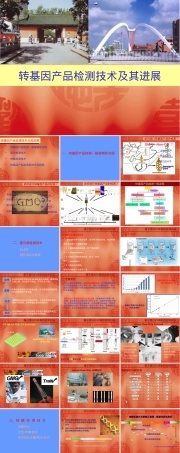 转基因产品检测技术及其进展PPT课件.ppt