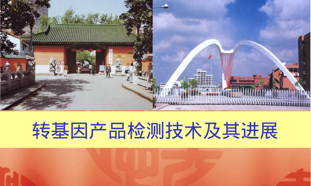 转基因产品检测技术及其进展PPT课件.ppt