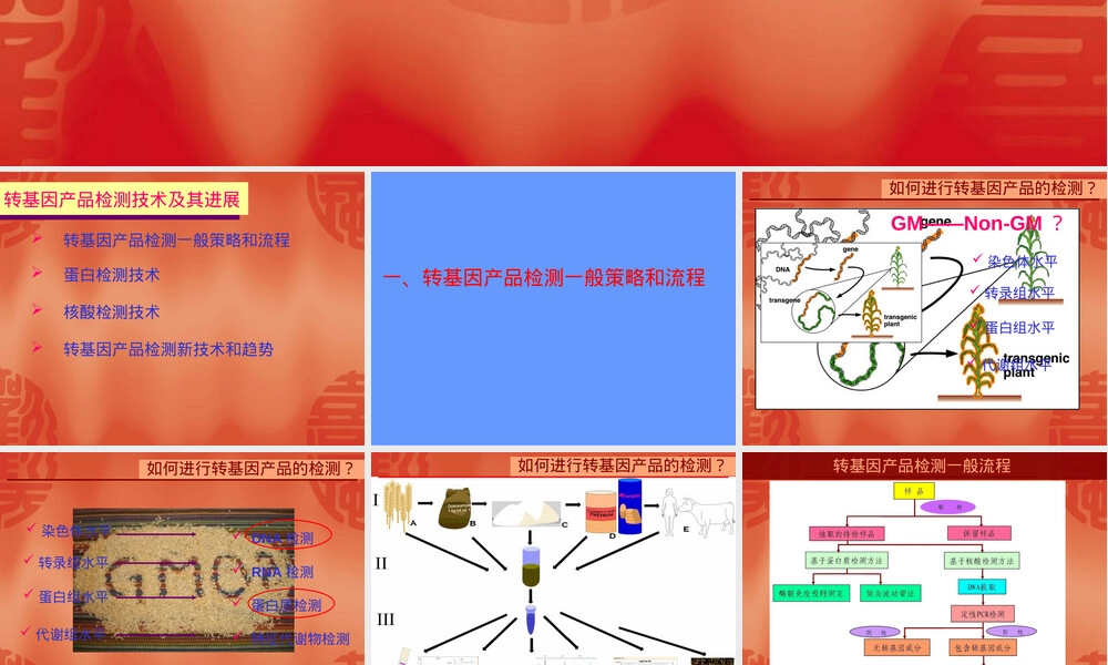 转基因产品检测技术及其进展PPT课件.ppt