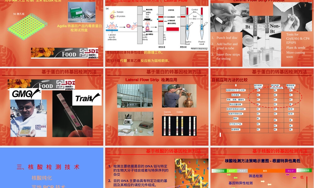 转基因产品检测技术及其进展PPT课件.ppt