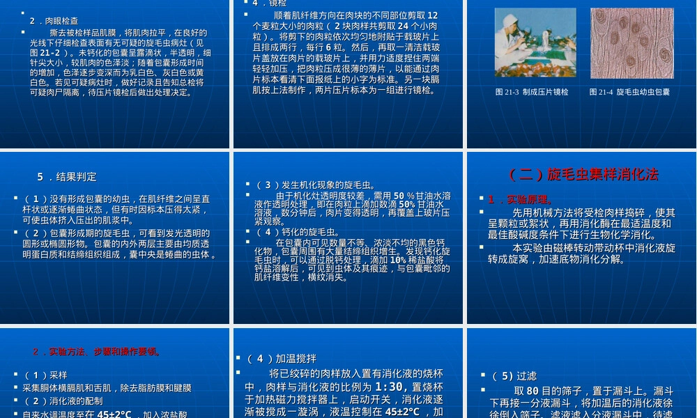 食品检验检疫旋毛虫检验技术PPT课件.ppt