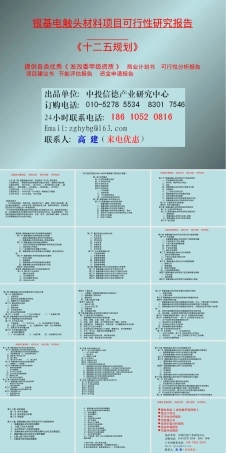 银基电触头材料可行性研究报告.ppt