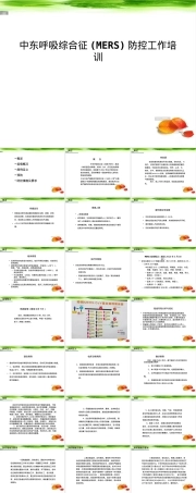 中东呼吸综合征MERS防控培训PPT课件.ppt