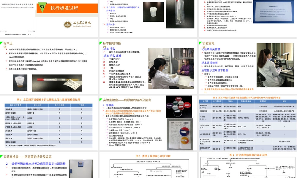 细菌性腹泻实验室诊断操作指南WST-498-2017教学PPT课件.pptx