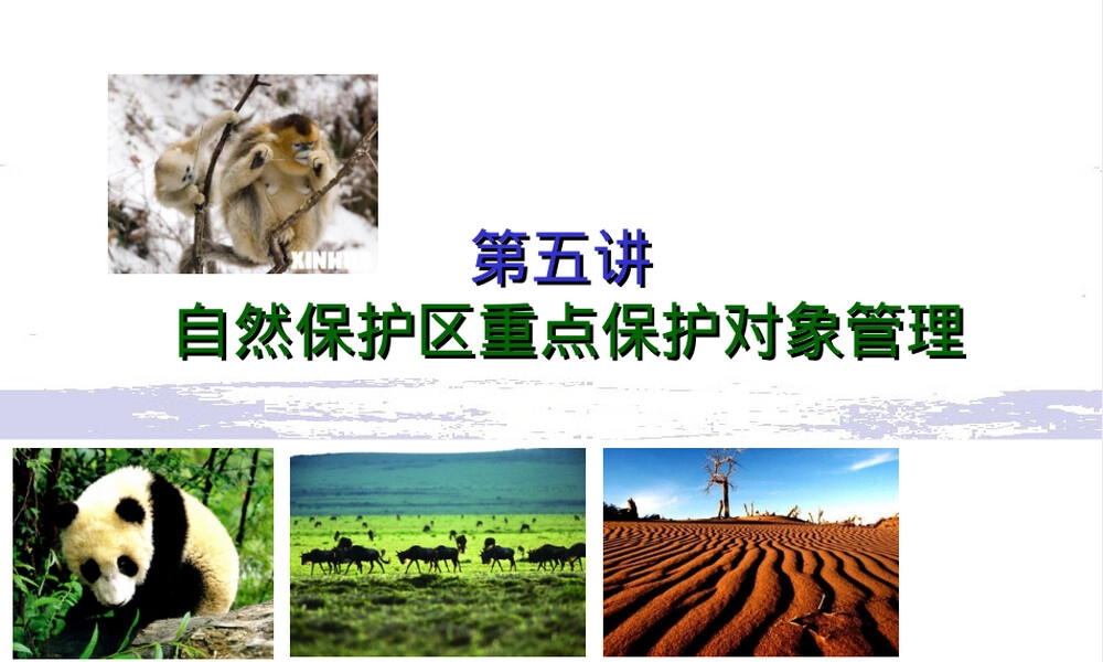 自然保护区重点保护对象管理PPT课件.ppt