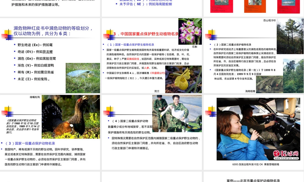 自然保护区重点保护对象管理PPT课件.ppt