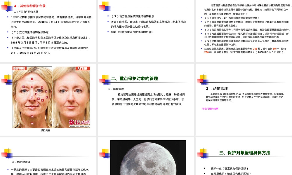 自然保护区重点保护对象管理PPT课件.ppt