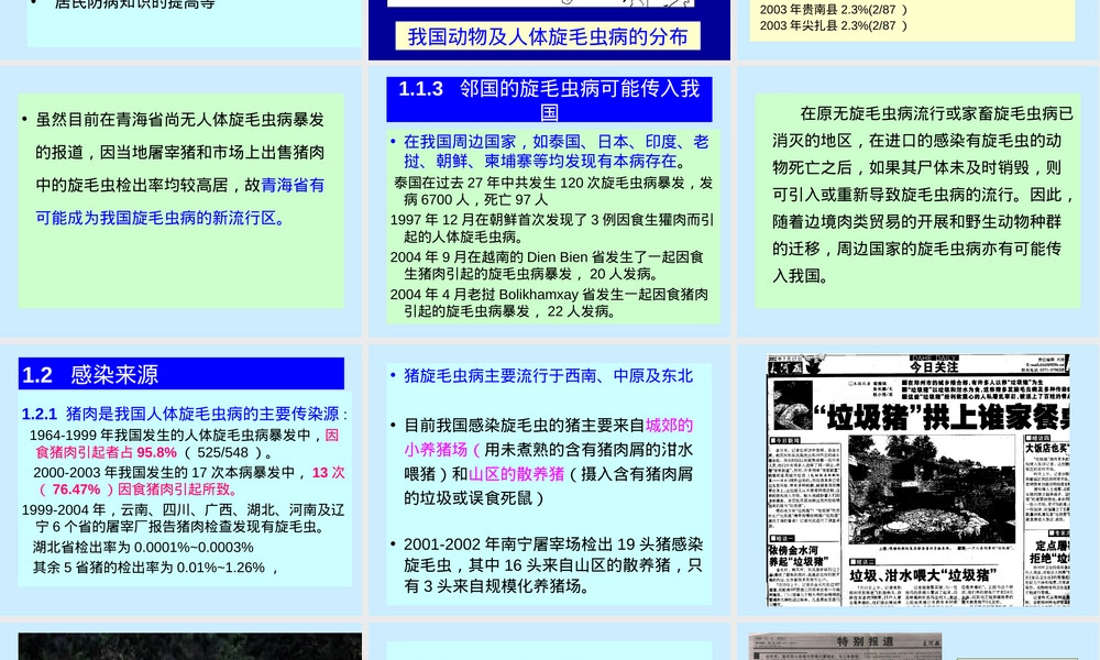 我国旋毛虫病流行与防制PPT课件.ppt