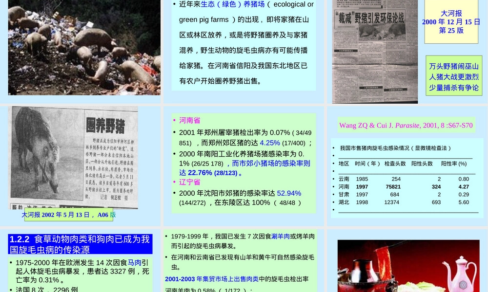 我国旋毛虫病流行与防制PPT课件.ppt