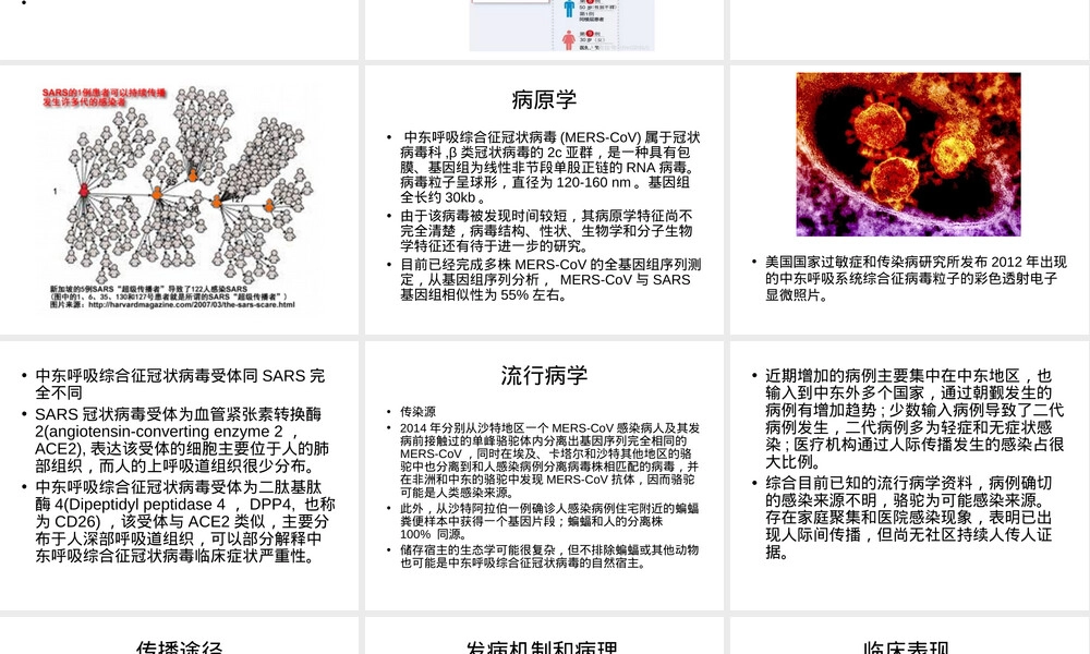 中东呼吸综合征教学PPT课件.ppt