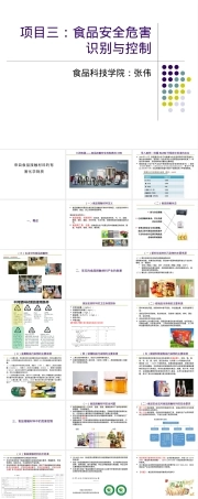 食品接触材料有害化学物质PPT课件.pptx