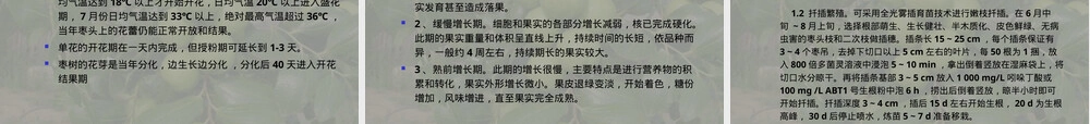 枣树的栽培与管理PPT课件.ppt