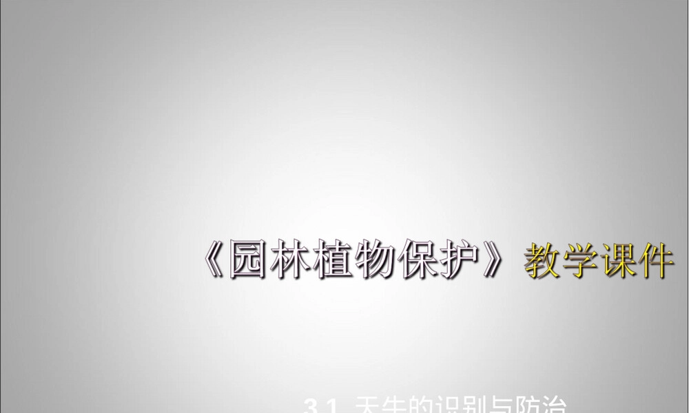 天牛识别与防治技术PPT课件.ppt