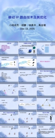 移动IP路由技术及其优化PPT课件.ppt