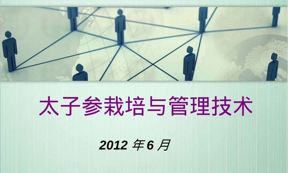 太子参栽培管理技术培训PPT课件.ppt
