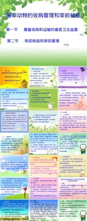 屠宰动物的收购管理与宰前检疫PPT课件.ppt
