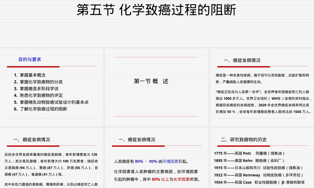 第九章化学致癌作用及其评价PPT课件.ppt