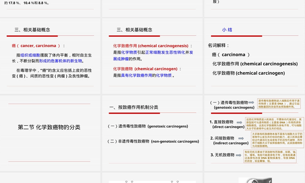 第九章化学致癌作用及其评价PPT课件.ppt