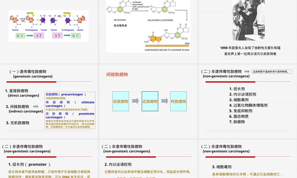 第九章化学致癌作用及其评价PPT课件.ppt