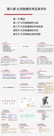 第九章化学致癌作用及其评价PPT课件.ppt