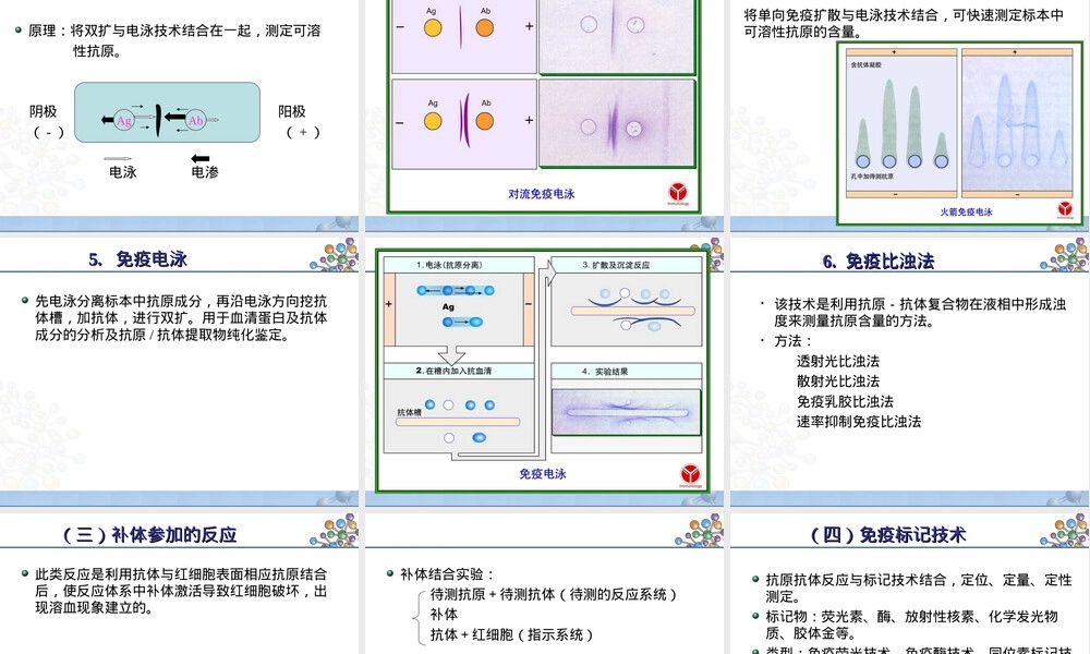 第十八章免疫学检测技术及其应用教学PPT课件.ppt