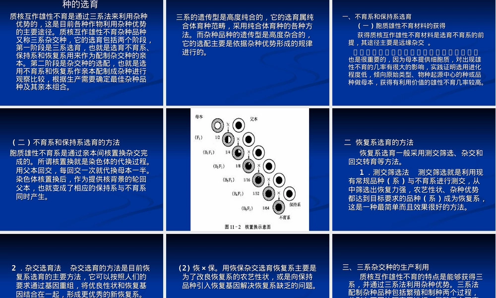 第十一章雄性不育及其杂种品种选育PPT课件.ppt