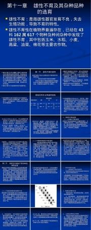 第十一章雄性不育及其杂种品种选育PPT课件.ppt