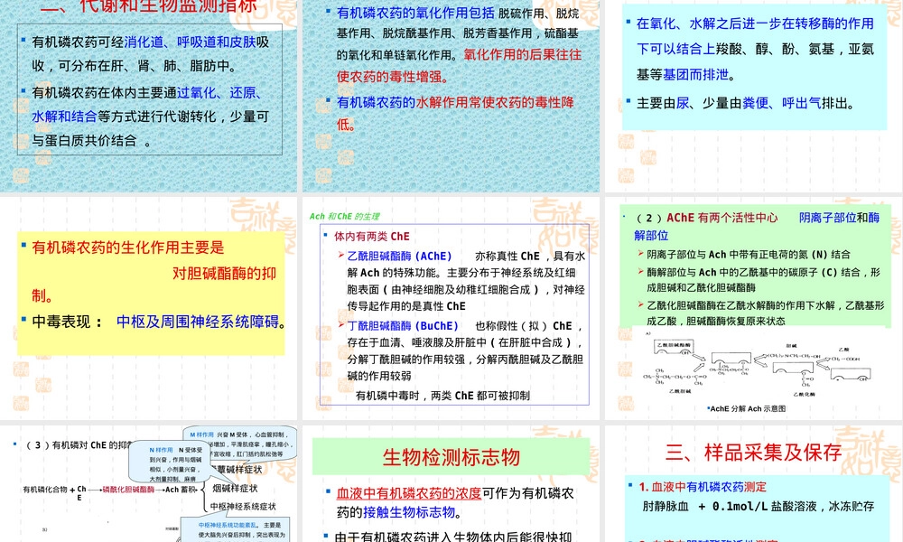 第七章农药及其代谢产物测定PPT课件.ppt