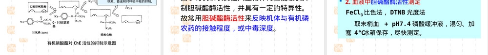 第七章农药及其代谢产物测定PPT课件.ppt