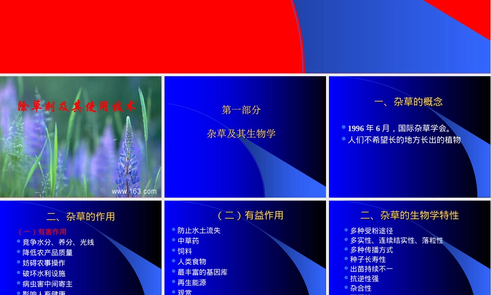 除草剂及其应用技术PPT课件.ppt