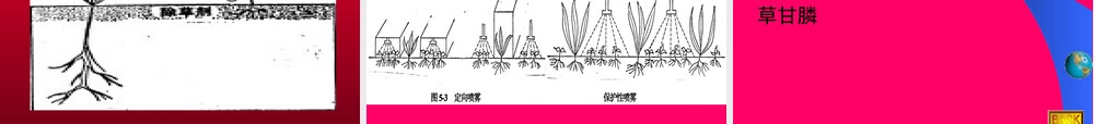 除草剂及其应用技术PPT课件.ppt