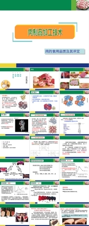 3肉的食用品质及其评定.ppt