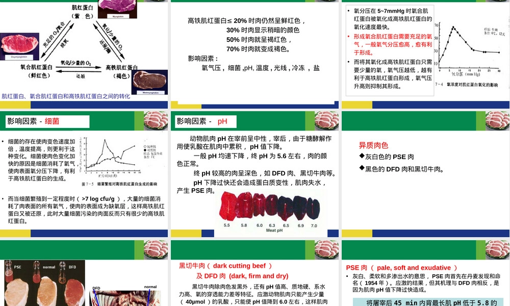 3肉的食用品质及其评定.ppt