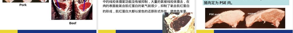 3肉的食用品质及其评定.ppt