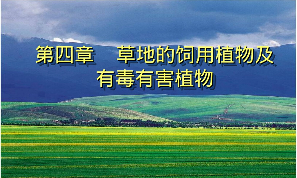 草地的饲用植物及有毒有害植物PPT课件.ppt