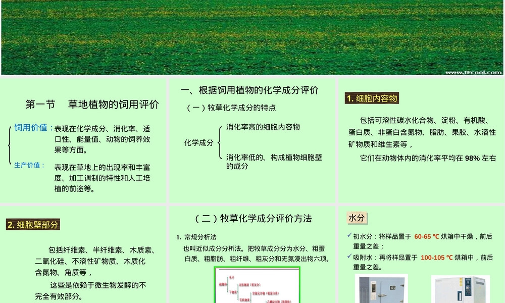 草地的饲用植物及有毒有害植物PPT课件.ppt