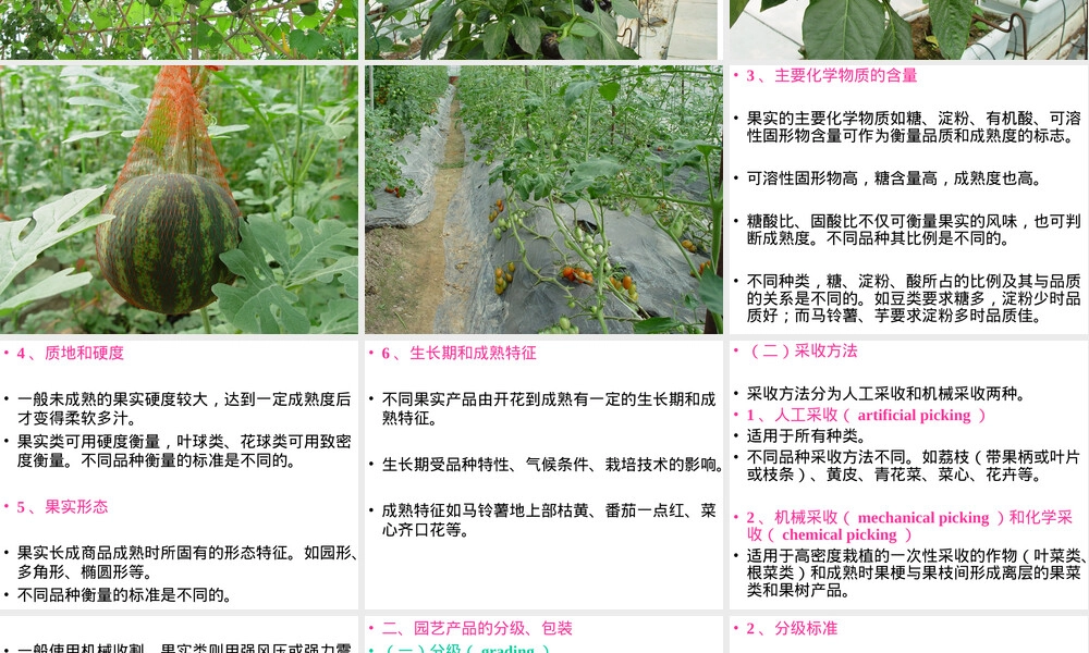 第九章园艺产品采收与采后管理PPT课件.ppt