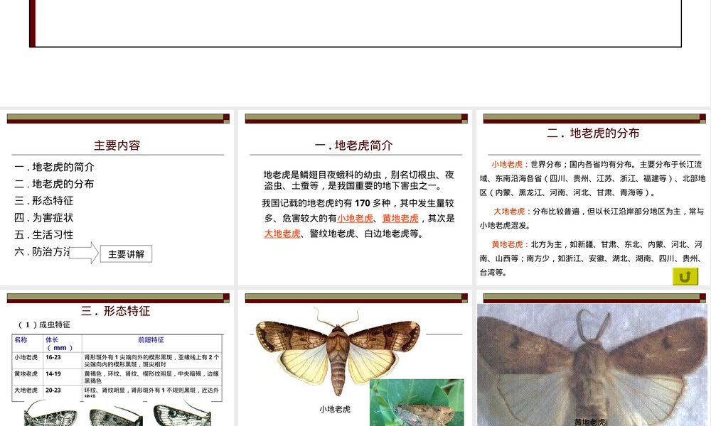 地老虎农业害虫防治PPT课件 副本1.ppt