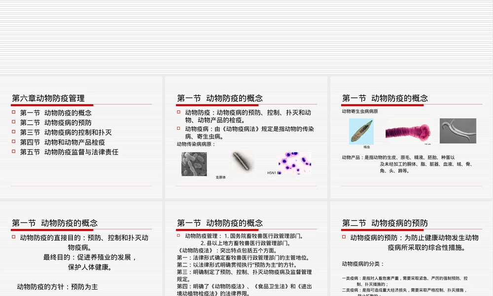 第6章动物防疫管理PPT课件.ppt